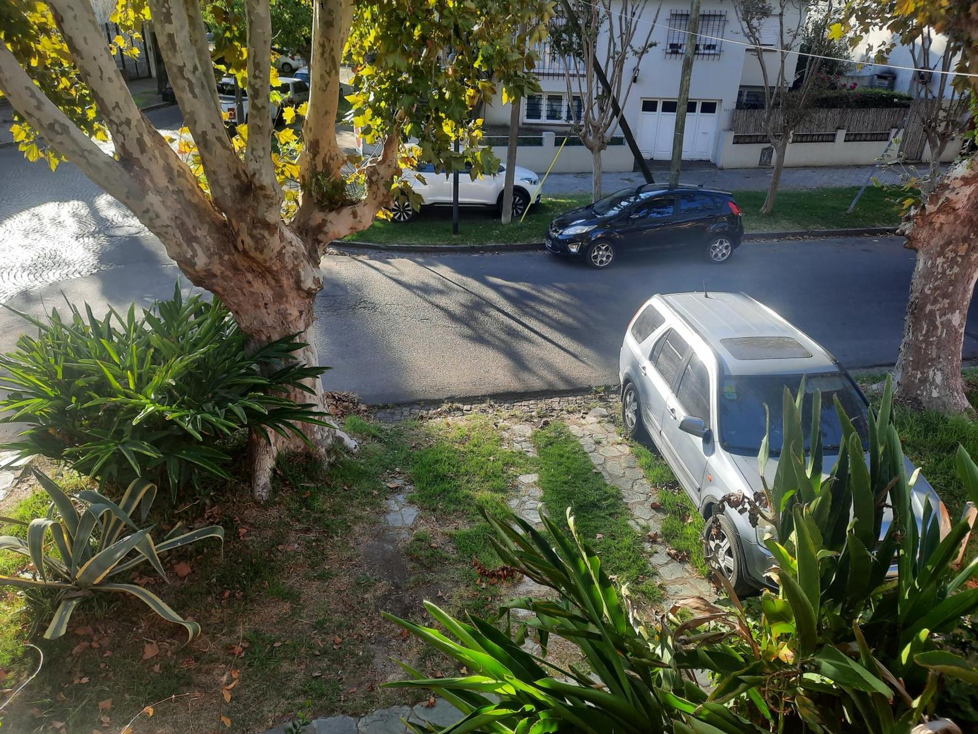 Aparts Del Jardin Tigre Buitenkant foto